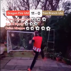 Tree Branch United 