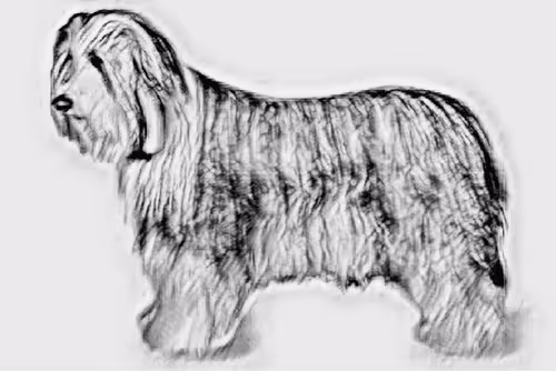 Item #23143313246472061328071561115701105421589606567298838424350448151136592461825 Media