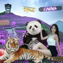 Lucky China 888