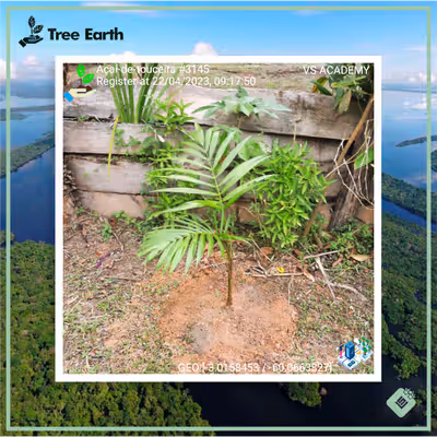 Item #8500196597889277390194123329501889087166328879864934763448349323994104594433 Media