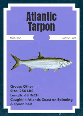 Item #43502264269384842523243150070095810631836830099831581701628992090099897335809 Media