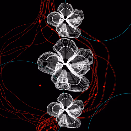 1350204010727590036333503804244432743205262951888776484545240907512555765761