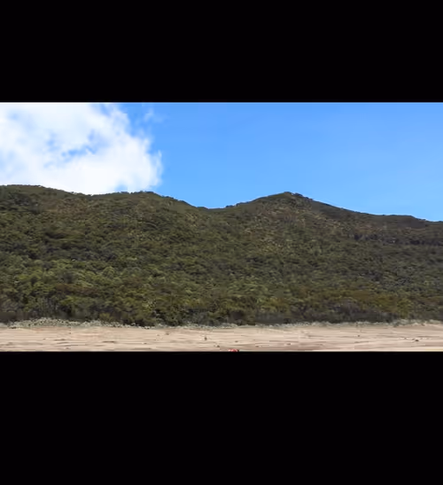 Item #44149120897120373533542219770146063607211506622154786214977483175019063279617 Media