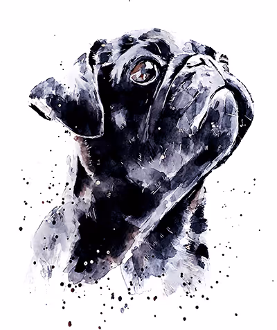 Item #15308155937593783866228062712704217529335676444312394672786838556751228305410 Media