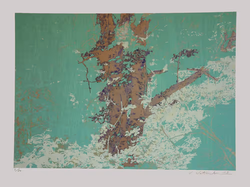 Item #72925079646173943955019179802066495558357068765344184678483369721105018257418 Media