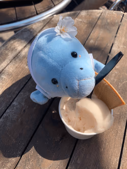 Item #7466201545258400892458115563752899898777742558422025423364612603745967013898 Media