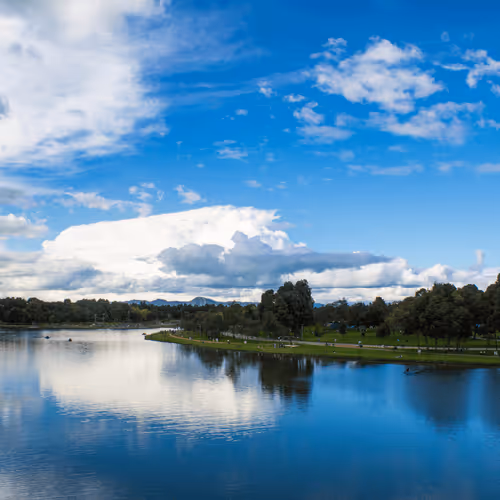 Item #18947357463558083308743301085332703717298258712978794536174415202186982064129 Media