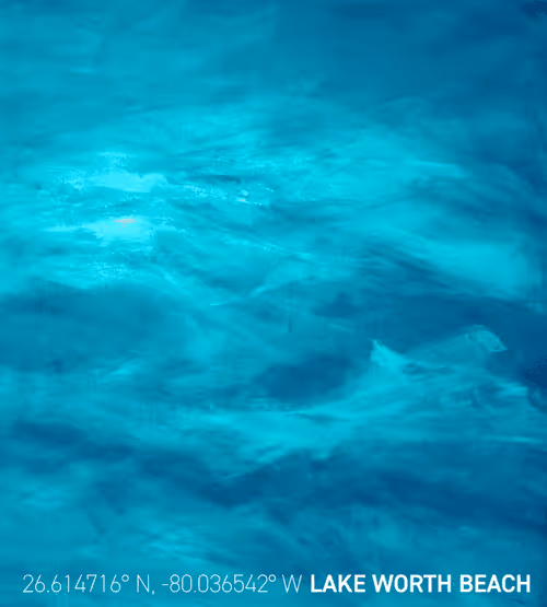 Item #26943238138681638753348092188697374887664825659826611314374211183120243228673 Media