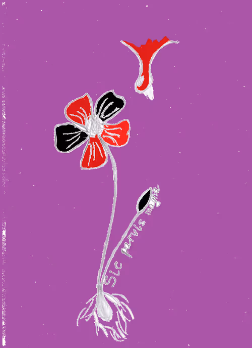 Item #78372344644040746449874310958977157723770012723635305173835921568257384906753 Media