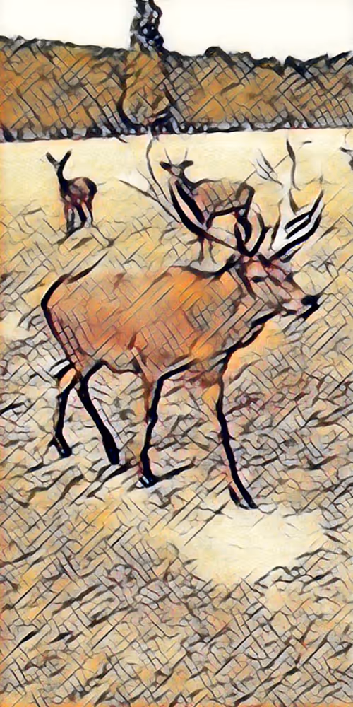 Item #8651498271250357396440676192848533063446167115421124880697921212948380909569 Media