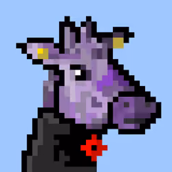 Jiraffe 24