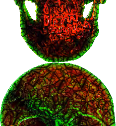 AcidSkullz