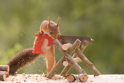 Item #41723246610632705543282218396403645401617984070439185990108432311796155547649 Media