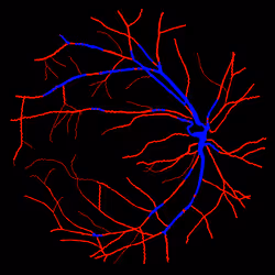 7078802064077755305879053961196844759257248211509687953083585968263204438017