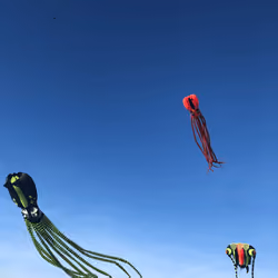 Drangon_Attack
