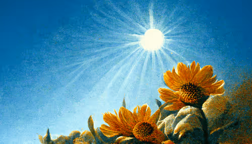 Item #39295705824730267596147944970714894039864715117808684556238668526808803049473 Media