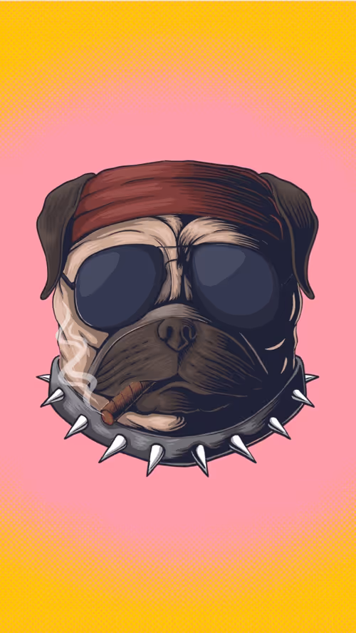 Item #95546491839962861060086501530005718860266030867872637985259382794996617838593 Media