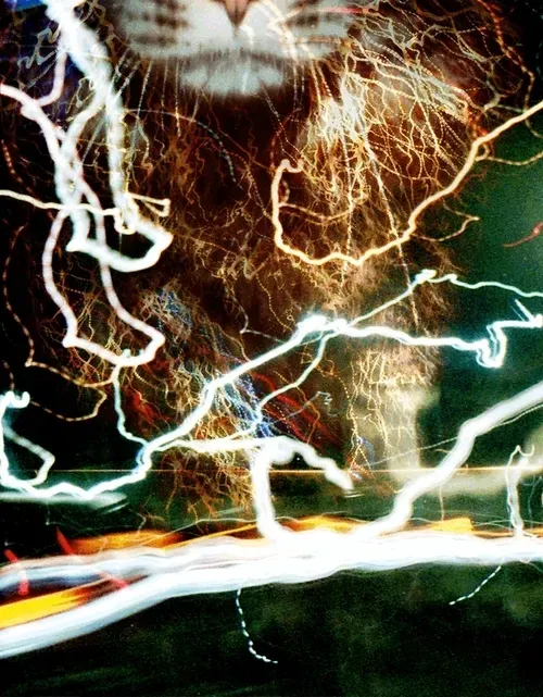 Item #46677297122039031221449977847173365421667821442589389250428357145002504093697 Media