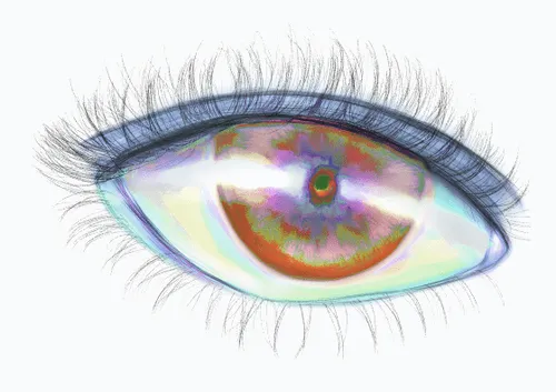 Item #42950694591796666568266939449637019646211598636303907727097118073802104766465 Media