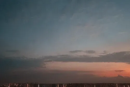 Item #54545336870129037164307986437789858251348704753246412266065009448158737989633 Media