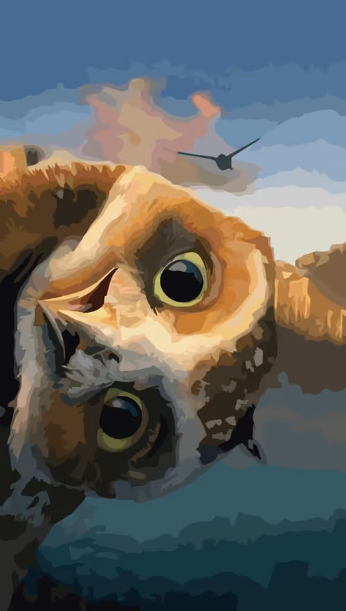 Item #80618145356985588633473514912058391618374773880156573244733306947589304746984 Media