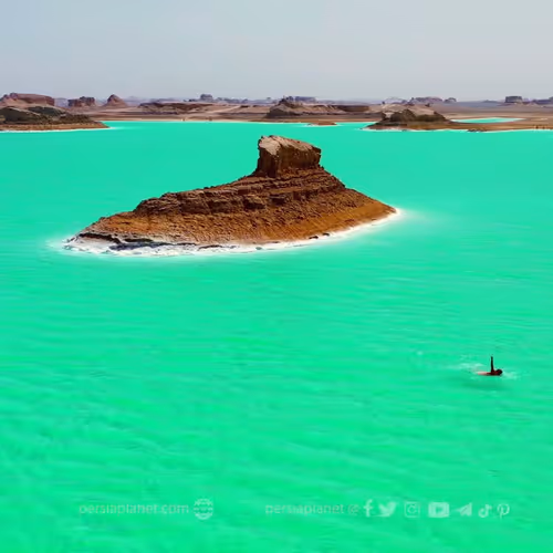 Untitled Collection #84187126