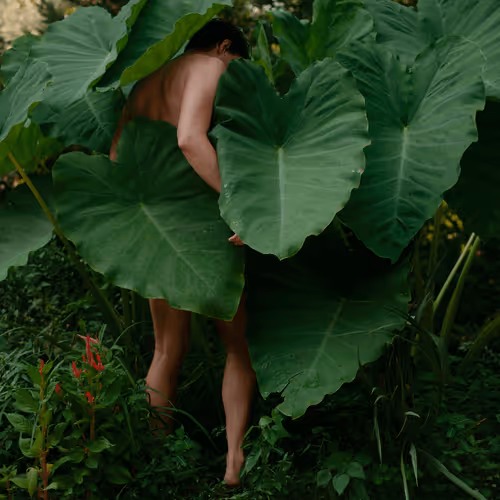 Item #78290495778488024413402900412975028234166831643233263215137554386858685759489 Media