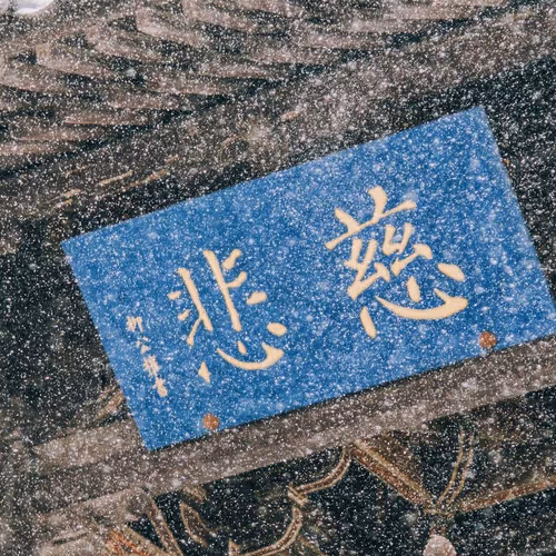 Untitled Collection #125360366