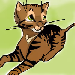 savannah cat