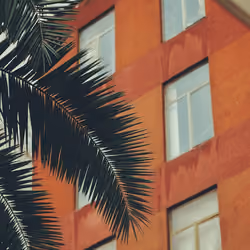 Feels Like Miami in 1982