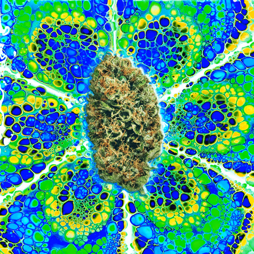 Item #13955282856406335165414100891374623718709547313428947888299033987942648381450 Media