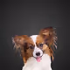 4533931704157539176609705925845237186532635652684101965047620305971822198785