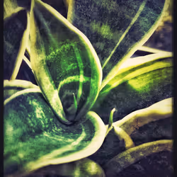 3787080761074609709675817509753112159059746763483256848434353549000314978305