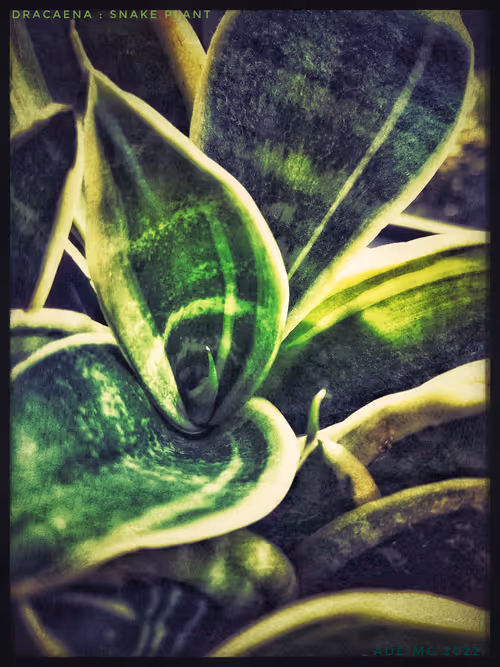 Item #3787080761074609709675817509753112159059746763483256848434353549000314978305 Media