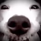 78679538093175337483383129550532912334743365045903982143463776365502774902785