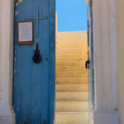 Yummyfruits Collection