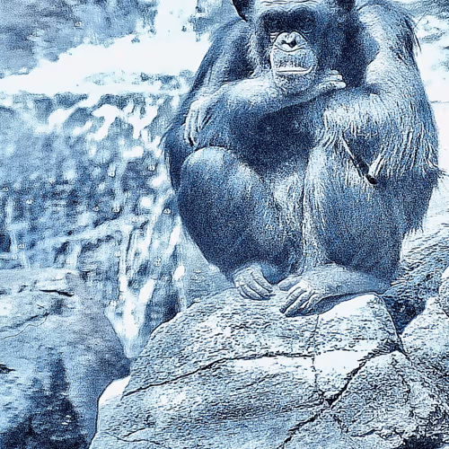 Item #105394010161551018097936078642910549059002323015222353178191528844122247921665 Media