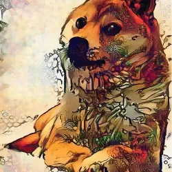 D O G E T U N E Z