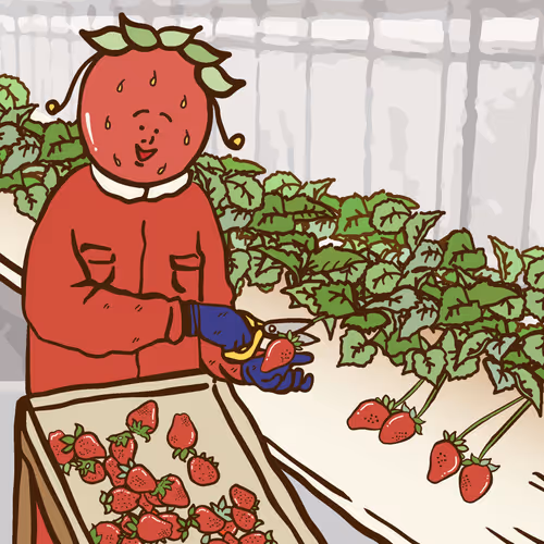 Item #24037543038722631125740293056000000431234609769854064156880842954550204694529 Media