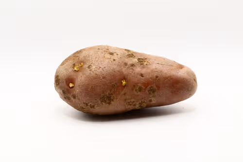 Item #97726151104522163495278545296769301934737660224123995419035737022334416977921 Media