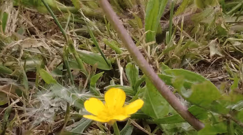 Item #98679578177621649628089872010712381059223698631184272161596299624562412224513 Media