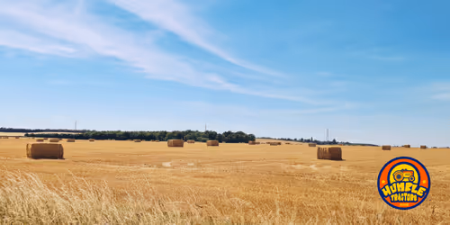 Item #35863194083128256797647772425284652682645032595179500226087347110925293322241 Media