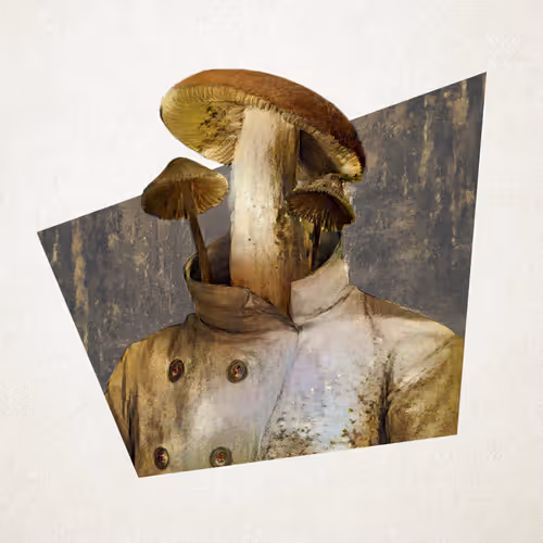 Item #19666948566759485662770535688776361214672286684098002644730326652490283483137 Media