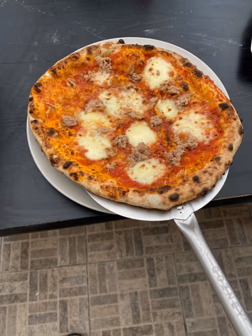 Item #61590365901160097971473732278043407650955891167276834791759720891334661242881 Media