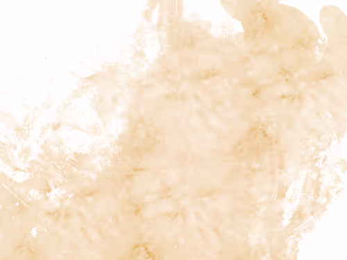 Item #108648420360214736937690321880281304067553396152004957868563263532164762828801 Media