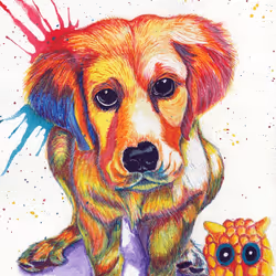 88392049109375850439574262012811564620955616675651121480724544706097830690817