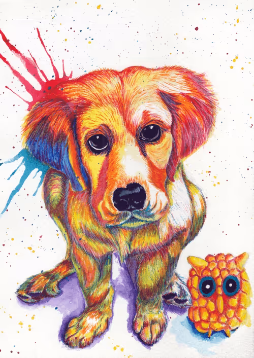 Item #88392049109375850439574262012811564620955616675651121480724544706097830690817 Media