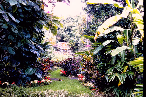 Item #113047771030127017240919341709485116586684509374101894410877815074471112867841 Media