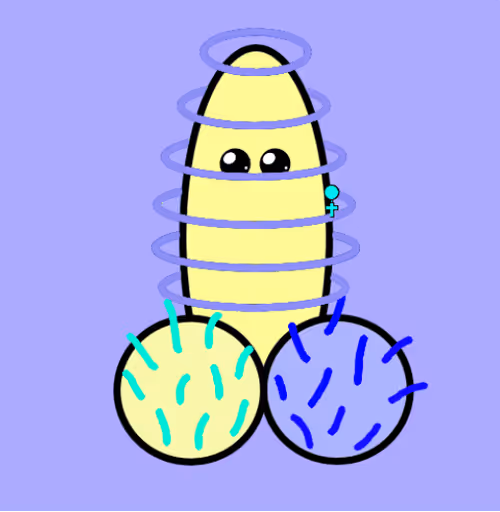Item #58518457212691716482807161495145877477171031231206915639788022388235024990209 Media
