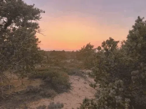 Item #229903202399770629281150266274287852530355796343641318577665280749869203516 Media